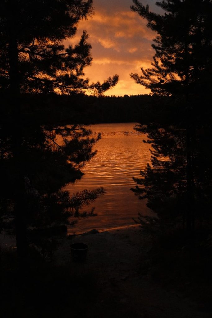 Orange sunset reflects on lake framed by dark pine trees.
